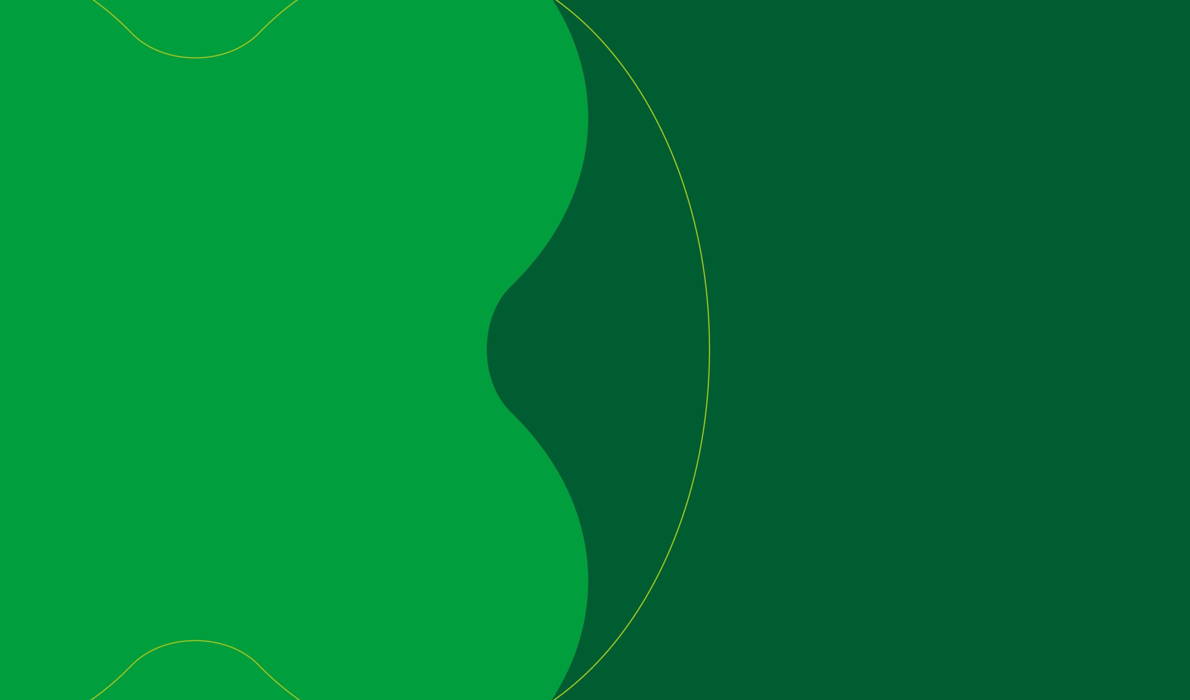 Immagine delle evento: Borse di studio Falcone e Borsellino 2025