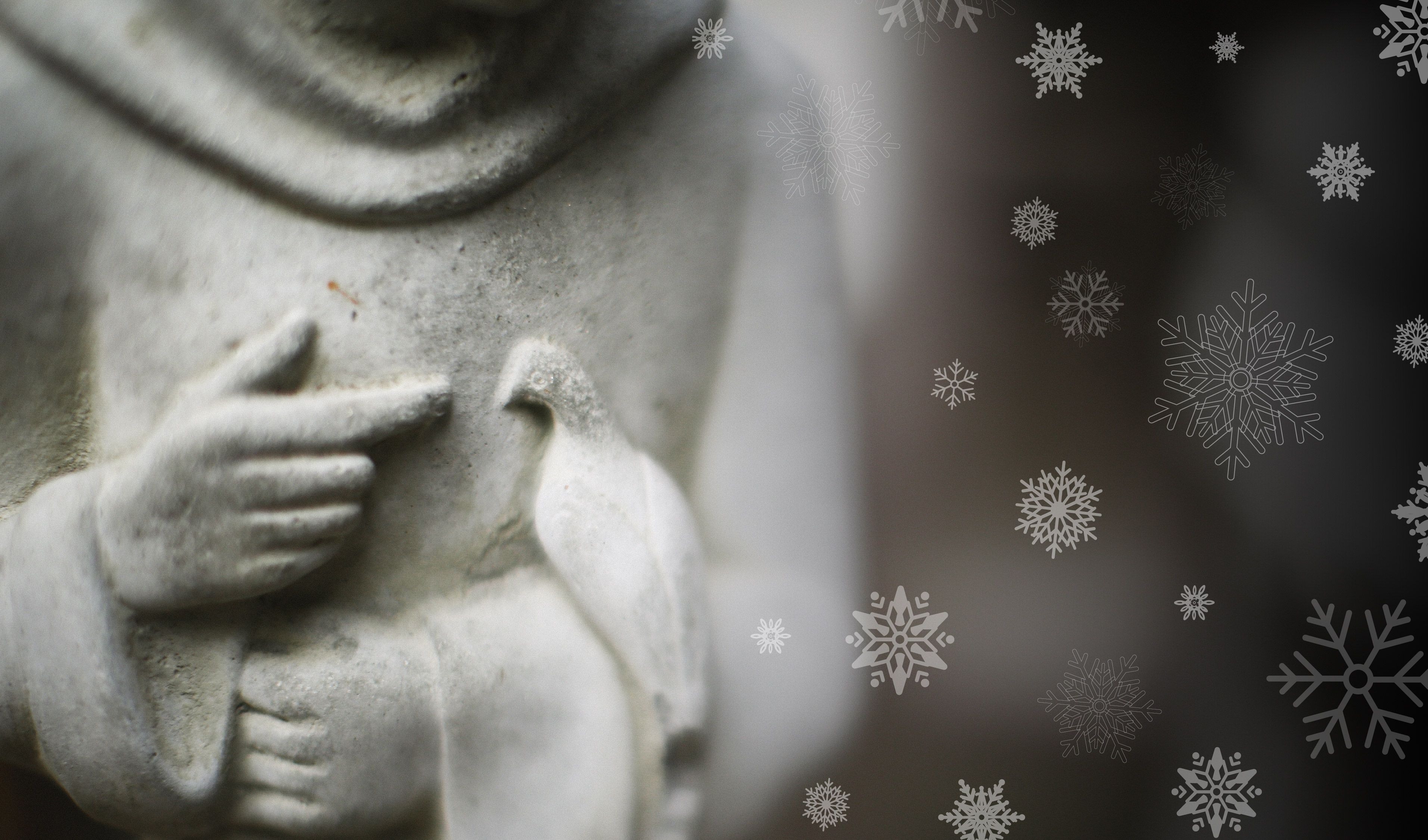 Immagine delle evento: A tu per tu con San Francesco. Dalla ferita alla letizia